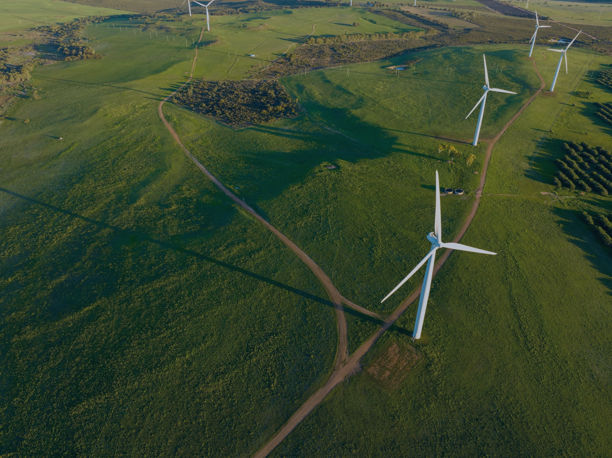 Investing in profitability and growth image.